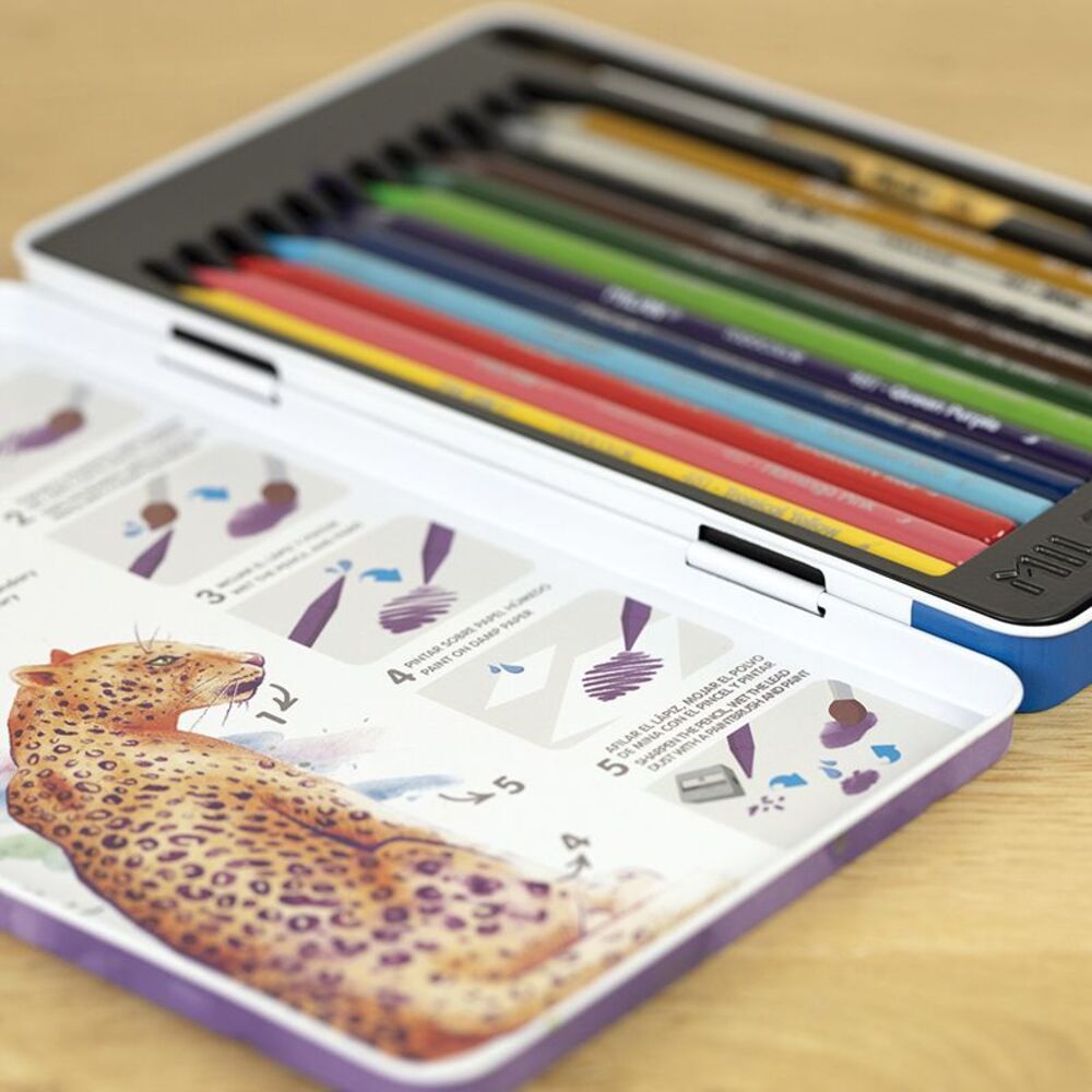 LAPICERO TODO COLOR ESTUCHE METAL 12 LAPICES + PINCEL
