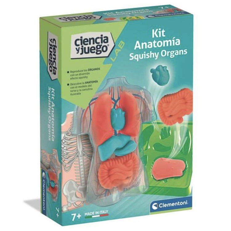 8005125555772 (1) Set científico Anatomía Squishy 1