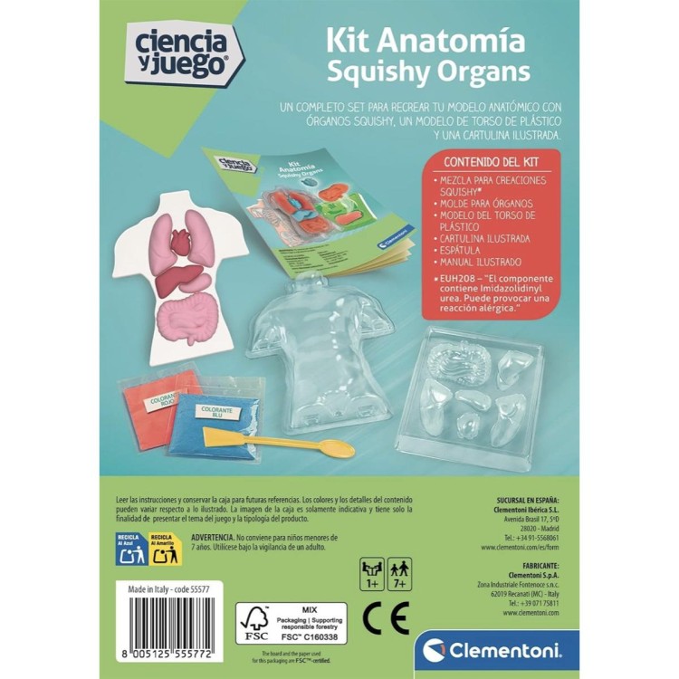 8005125555772 (3) Set científico Anatomía Squishy 3