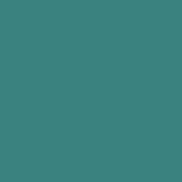 3148950120007 Cartulina iris 50x65 cm Verde Menta  1