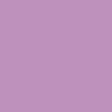 3148950120038 Cartulina iris 50x65 cm Malva - CANS 1