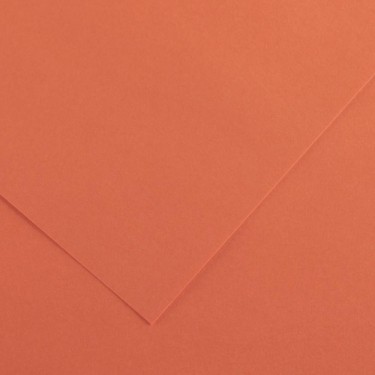 3148950120120 Cartulina iris 50x65 cm Coral - CANS 1