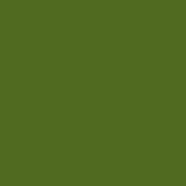 3148950120182 Cartulina iris 50x65 cm Verde Safari 1