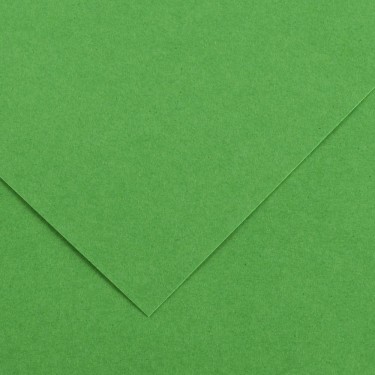 3148950402387 Cartulina iris 50x65 cm Verde Billar 1