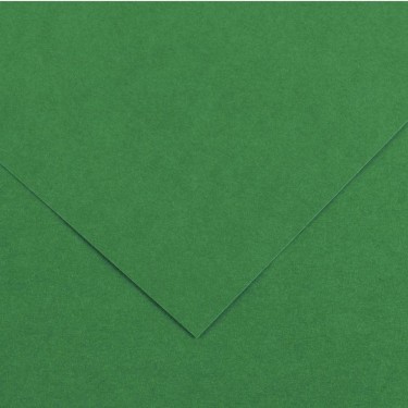 3148950402394 Cartulina iris 50x65 cm Verde Abeto  1