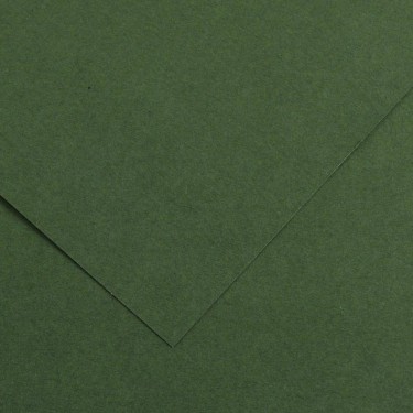 3148950402400 Cartulina iris 50x65 cm Verde Amazon 1