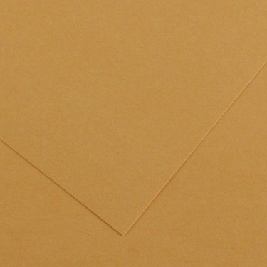 3148950402417 Cartulina iris 50x65 cm Cuero - CANS 1
