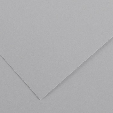 3148950402431 Cartulina iris 50x65 cm Gris Perla - 1