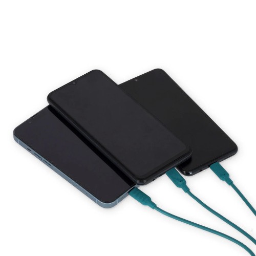 CABLE SINCORINIZACION DE CARGA 3 EN 1 CACTUS  LEGAMI 8052694