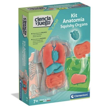8005125555772 (1) Set científico Anatomía Squishy 1